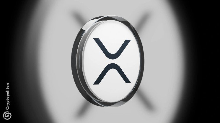 XRP becomes quantum-resistant powerhouse while whales go on a buying spree XRP becomes quantum-resistant powerhouse while whales go on a buying spree