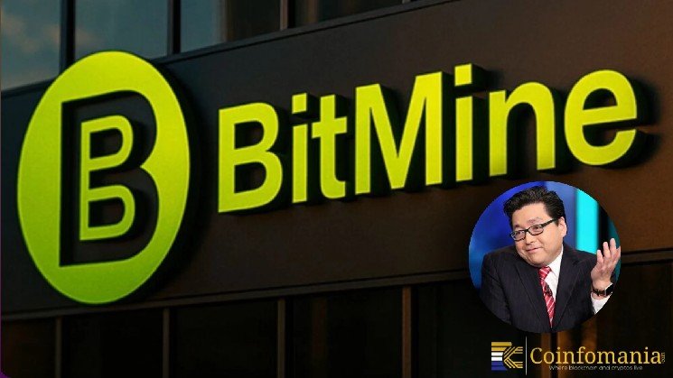 Tom Lee&rsquo;s Bitmine Buys $82M ETH in Fresh Accumulation