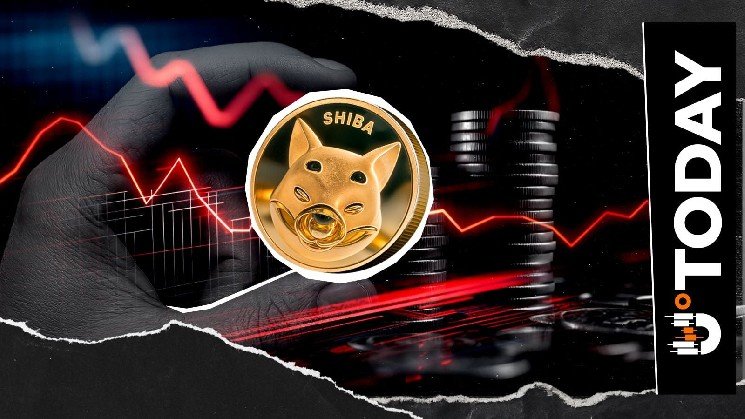 Shiba Inu Hits 1.58 Million Holders as Adoption Grows