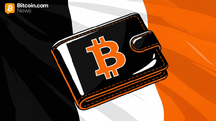 France Advances Law Mandating Self Custody Funds' Disclosure