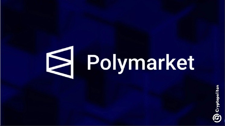 Polymarket bets on tech layoffs surge. But is AI replacing workers or just concentrating them?