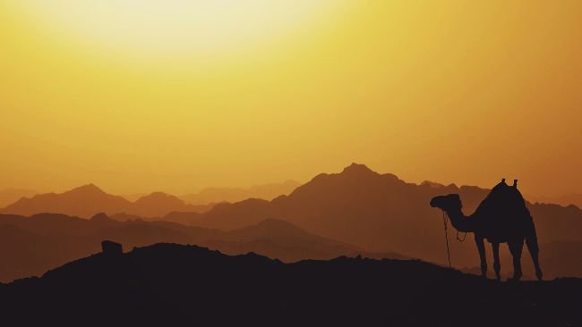 Shariah-Compliant Stablecoin PUSD Moves Into MidEast Institutional Arena