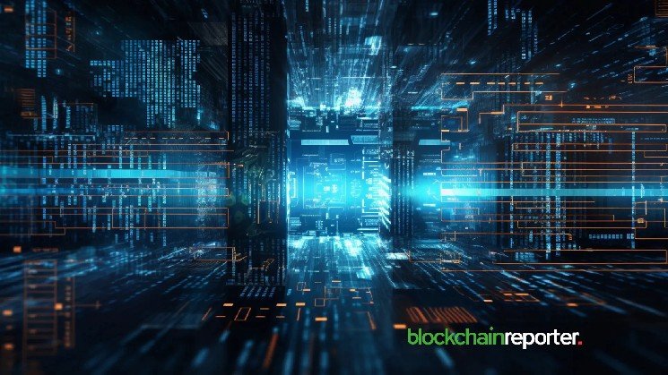 Qitmeer Network Joins Kuvi AI for Democratization of Finance at Hedge Fund-Scale