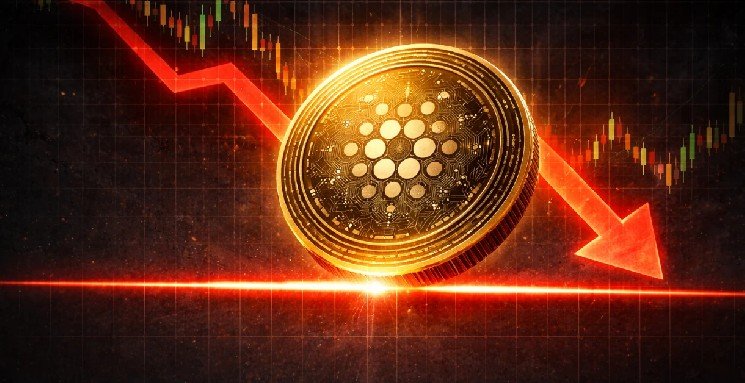 Cardano Foundation Slashes ADA Holdings From 76.7% to 51.6% — Bearish Signal? Cardano Foundation Slashes ADA Holdings From 76.7% to 51.6% — Bearish Signal?
