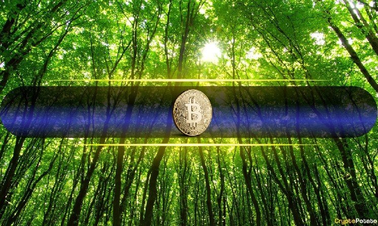 Bitcoin Price Pushes Above $80,000 for First Time Since January