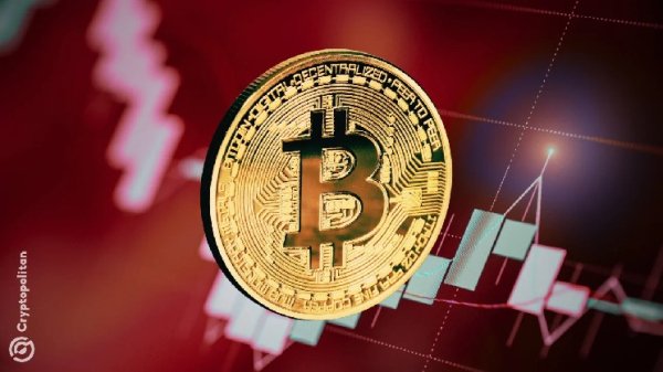 Bitcoin sees sudden price crash below $77,000 Bitcoin sees sudden price crash below $77,000