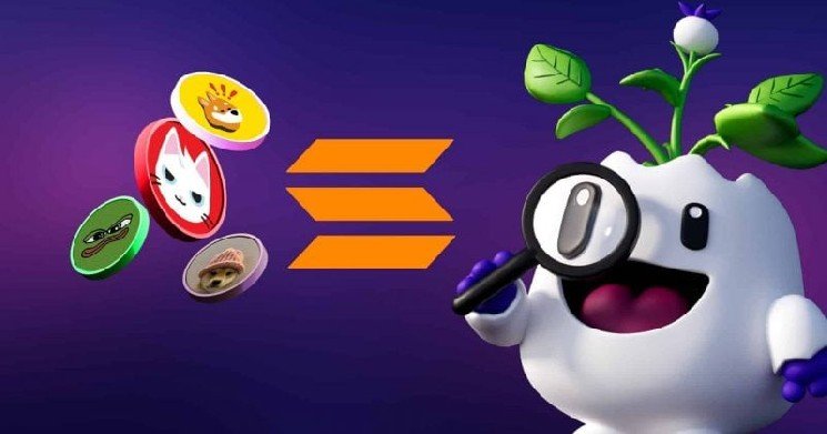 Solana Foundation president calls meme coins a production test net Solana Foundation president calls meme coins a production test net