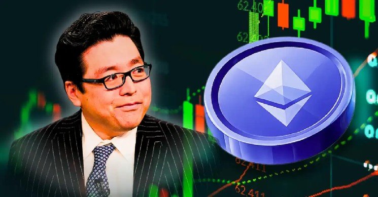 BitMine Tom Lee Explains Why Ethereum Price Falls When Oil Prices Surge BitMine Tom Lee Explains Why Ethereum Price Falls When Oil Prices Surge