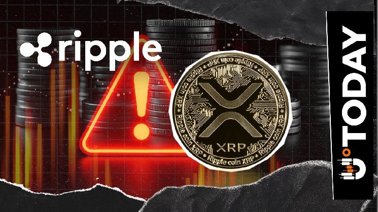 'No Airdrop': XRPL Developer Repeats Crucial Warning to XRP Community