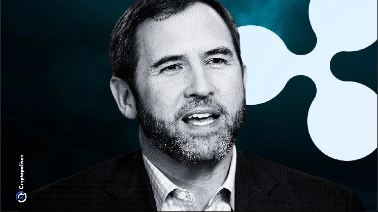 Ripple CEO Brad Garlinghouse goes against XRP maximalist ideology