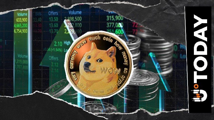Dogecoin Bigger Than Entire NFT Market by 800%