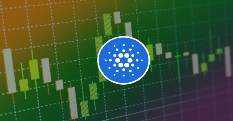 Attention Cardano (ADA) Followers: Where Is the Price Headed From Here?