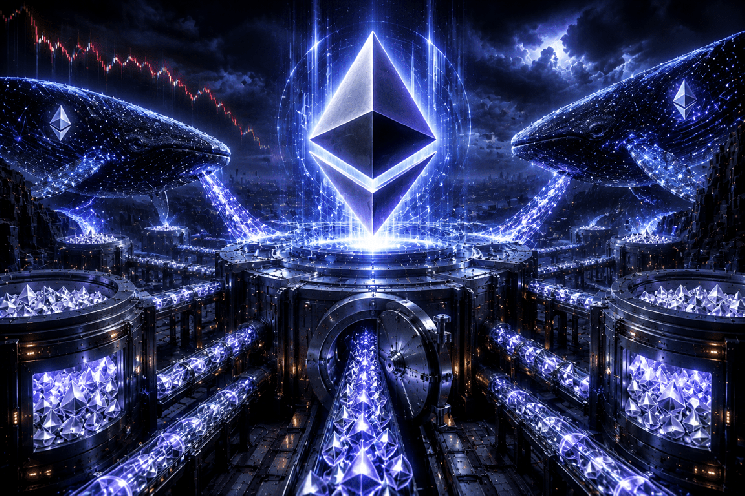 Ethereum Price Falls, But Whales Push Holdings To 10-Week High