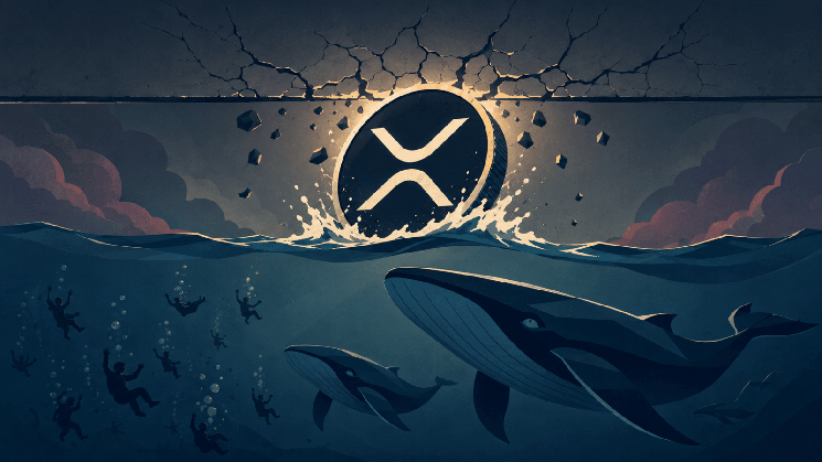 XRP&rsquo;s speculative activity returns &ndash; Can demand overcome selling pressure?