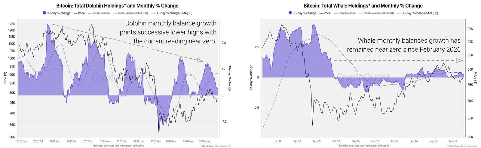 Ethereum Price Falls, But Whales Push Holdings To 10-Week High