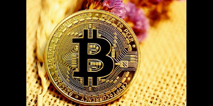 The Programmable Pivot &ndash; How ZK-Rollups and BitVM are Launching Bitcoin-Native DeFi
