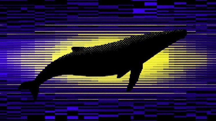 Cardano whales now hold 67% of ADA supply in highest share since 2020