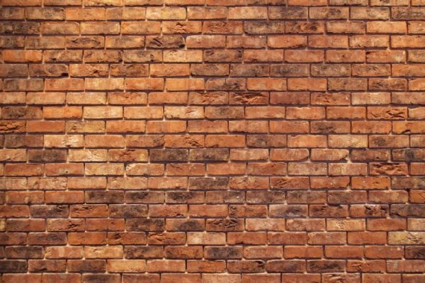 Bitcoin slips below $80,000: Why the 'Trump rally' is hitting a wall of profit-taking