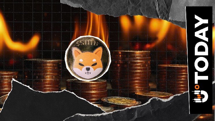 Shiba Inu Burn Rate Rises 434% With Millions of SHIB Torched