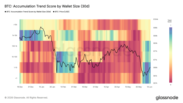 Bitcoin buyers add over 250,000 BTC between $59,000 and $67,000 as accumulation returns