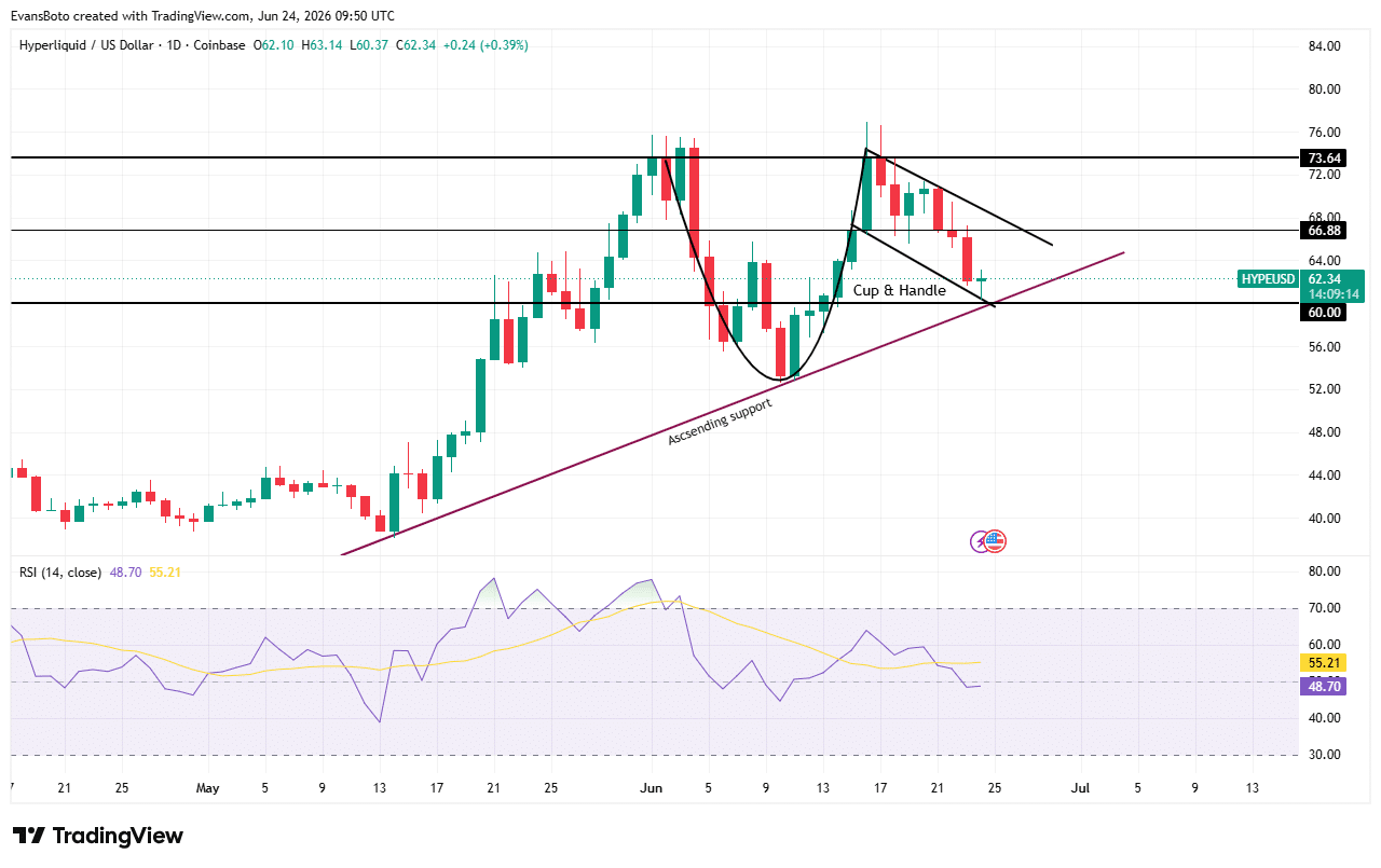 HYPE whales pull $23mln from exchanges &ndash; Next targets $66 and&hellip;