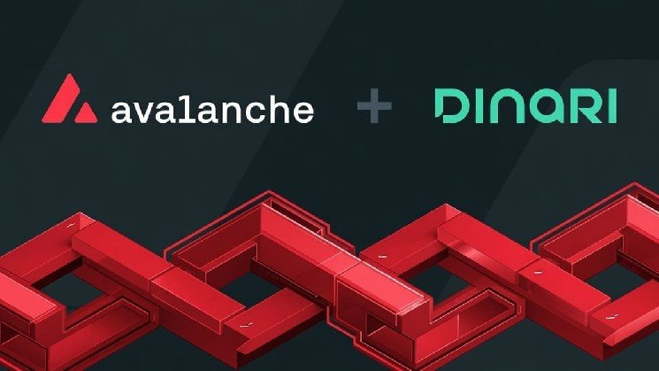 Avalanche Adds Access to SpaceX, ETFs and U.S. Stocks via Dinari Avalanche Adds Access to SpaceX, ETFs and U.S. Stocks via Dinari