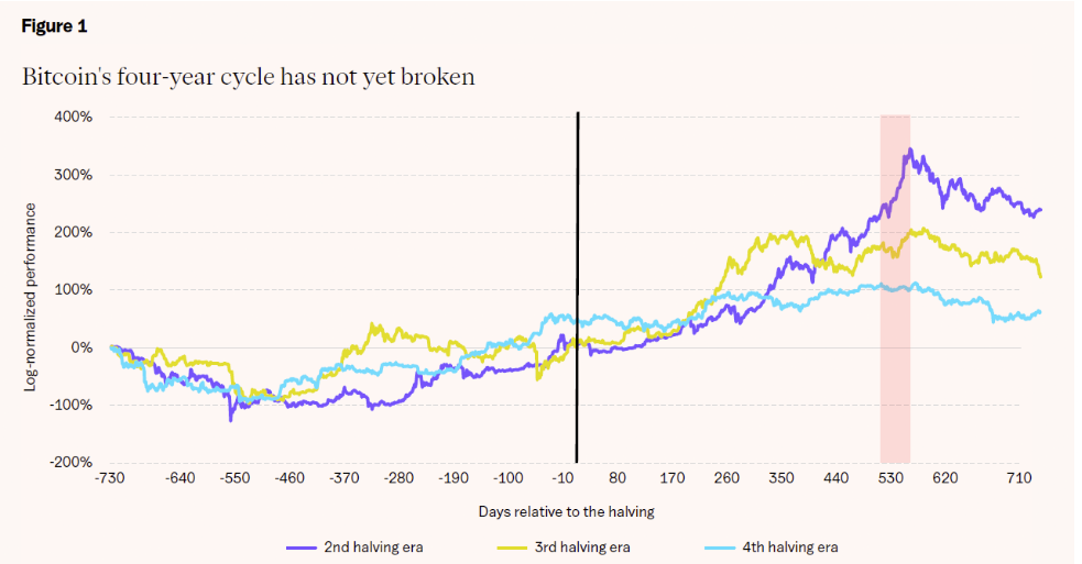 Coinbase, Circle underperform Big Tech as crypto stock slump deepens