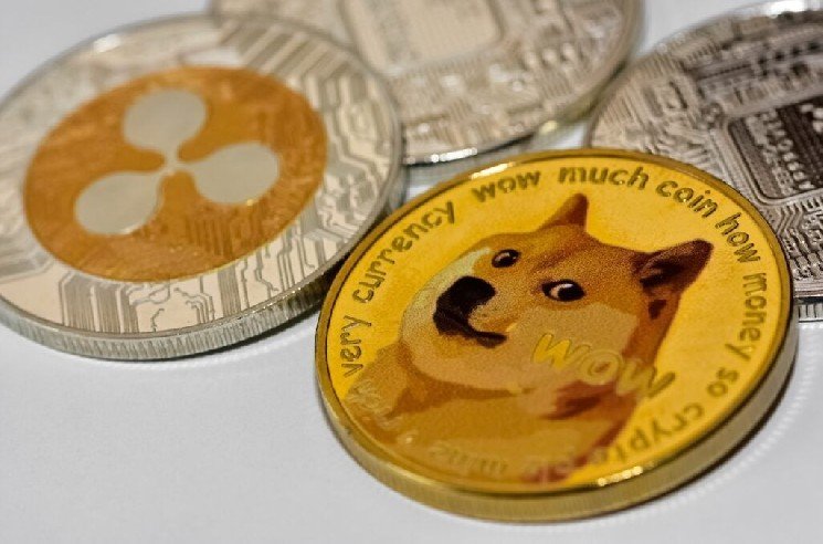 Dogecoin Notes Shibes Have Been 'Quiet Lately' And Then The Internet Showed Off What Everyone Has Been Silently Building