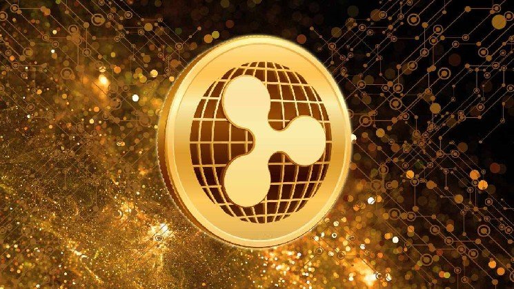 You're Not Bullish Enough: Ripple Executive Predicts Crypto Payments Boom