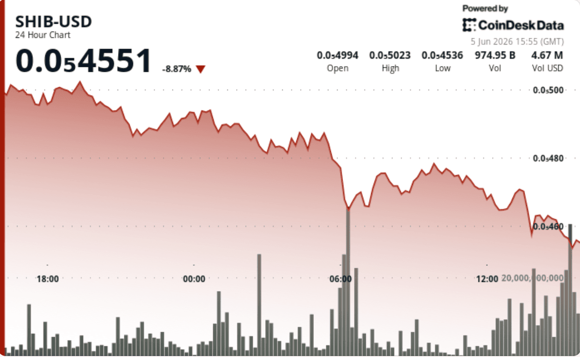 Memecoins dogecoin, shiba inu dive 9% as bitcoin nears $60,000