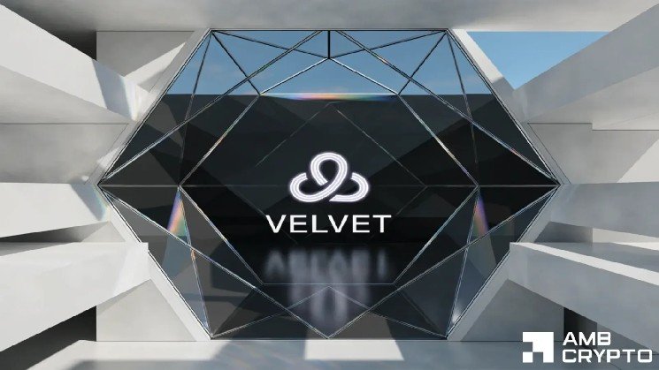 Up by 385% after 84% correction &ndash; How should you decode VELVET&rsquo;s price trends?