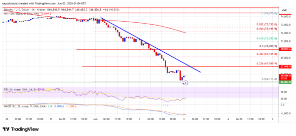 Bitcoin Price In Freefall As Panic Sweeps Through The Market