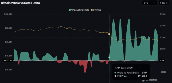 Analyzing Bitcoin&rsquo;s 15% June decline despite $43mln in whale buys