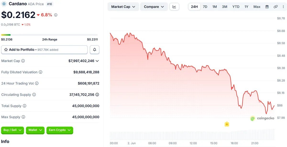Charles Hoskinson on Fire as Cardano Faces &lsquo;Wave of Shutdowns&rsquo;, ADA Falls 10%