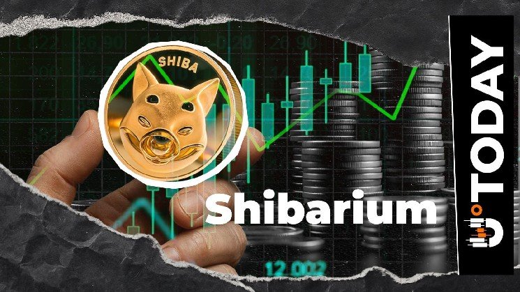 Shiba Inu: Shibarium Activity Returns With 100% Transaction Rise, but Is It Enough?