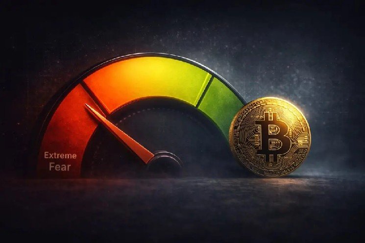 Fear Reaches Peak in the Crypto Market: Fear & Greed Index Drops to 16! Here Are the Details