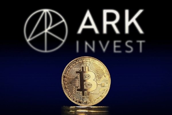 Market Expert ARK Invest Released a Detailed Report on Bitcoin: Have We Hit Bottom, or Are We Yet to See It?