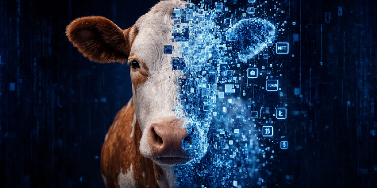 Brazilian Farmers Are Tokenizing Cows to Get Farm Loans&mdash;And It's Working