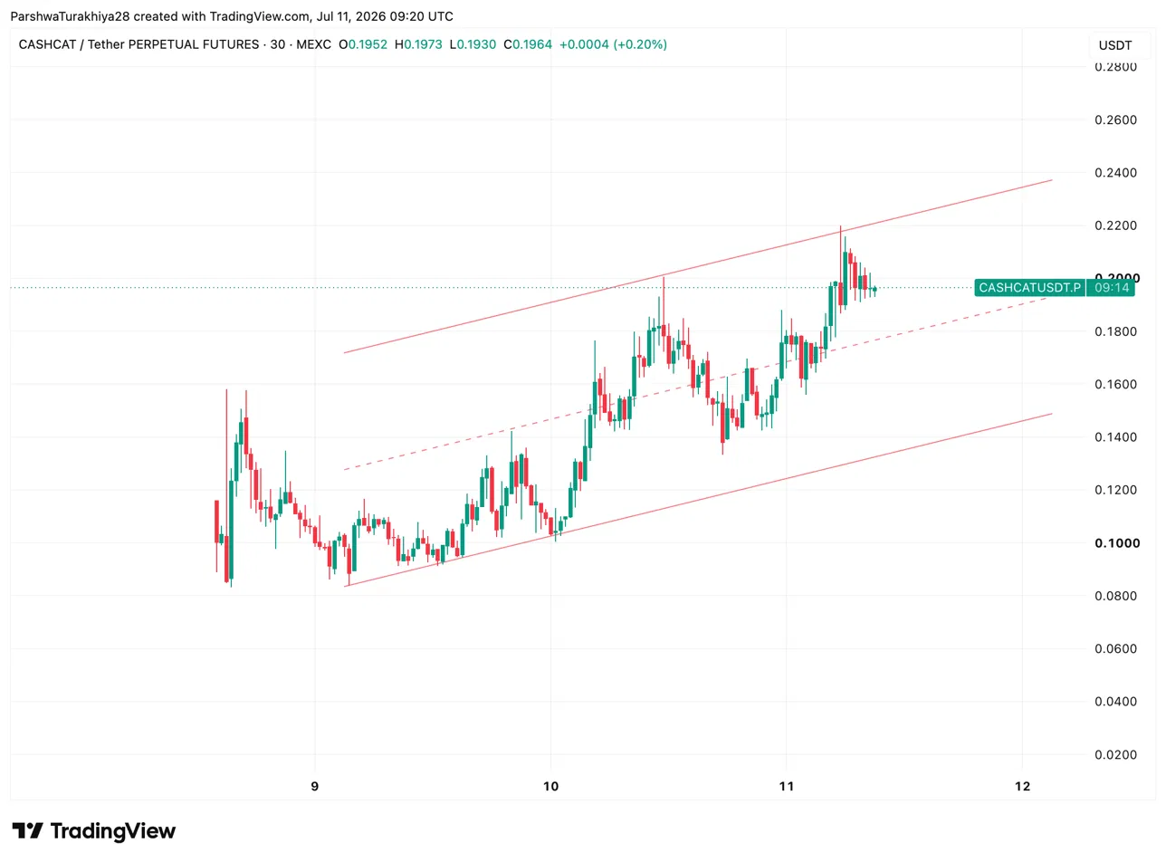 Cash Cat Price Prediction: Is CASHCAT’s 355% OI Spike the Start of Something or the Top Cash Cat Price Prediction: Is CASHCAT’s 355% OI Spike the Start of Something or the Top