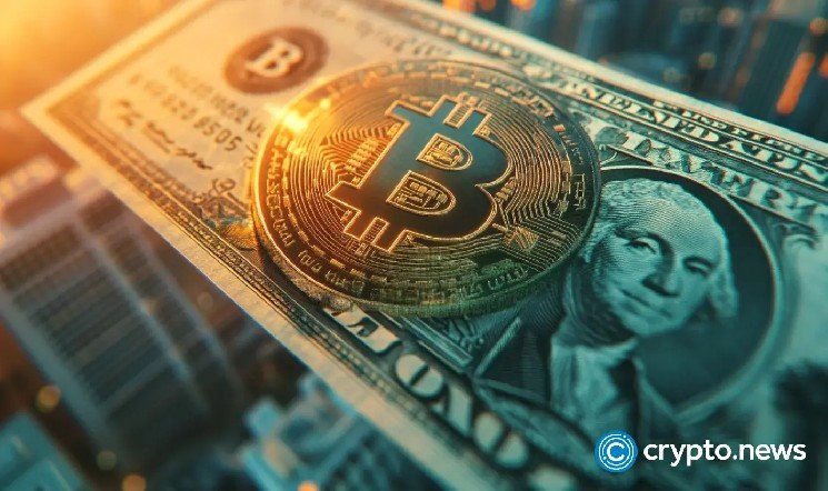 What is an ancillary asset? The word deciding crypto’s fate What is an ancillary asset? The word deciding crypto’s fate