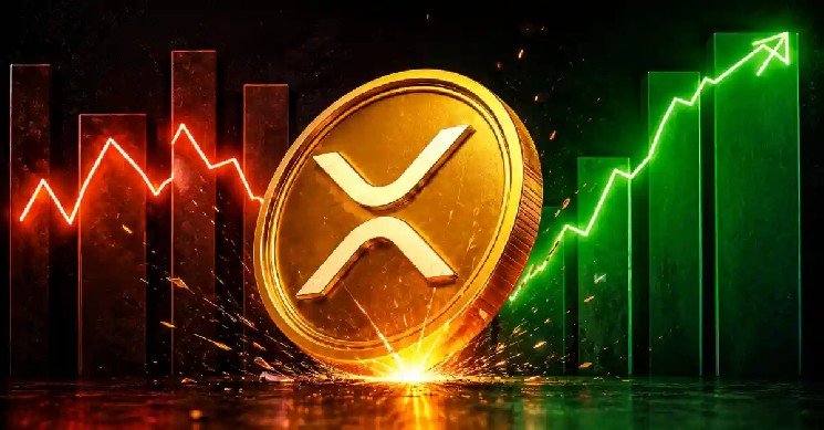 How a Phishing Email Drained 400,000 XRP From One Holder&rsquo;s Wallet