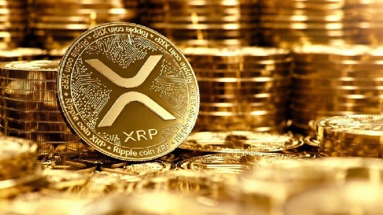 A Data on Binance Is Sending a Hidden Signal for XRP A Data on Binance Is Sending a Hidden Signal for XRP