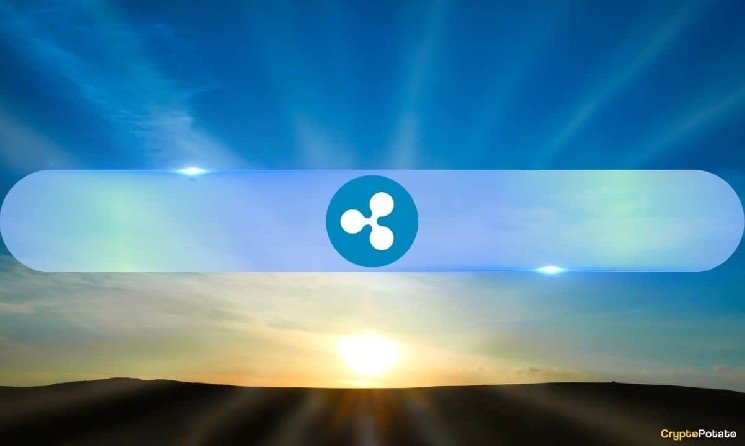 XRP Has Stayed in Crypto’s Top 10 for 13 Straight Years – No Other Altcoin Has Done This XRP Has Stayed in Crypto’s Top 10 for 13 Straight Years – No Other Altcoin Has Done This