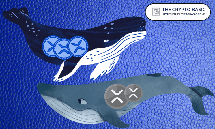 XRP Biggest Players Are Missing From the Market, CryptoQuant Finds