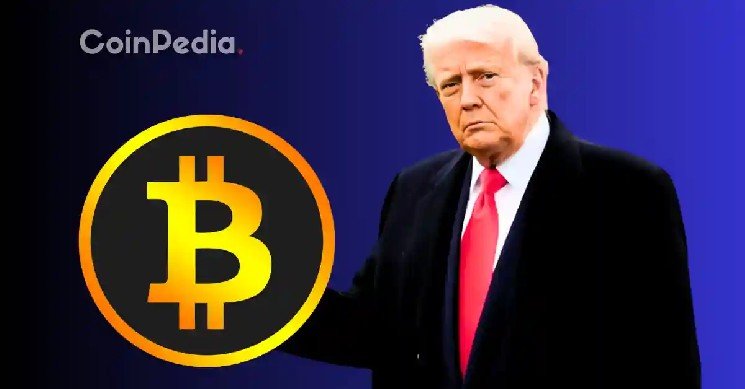 Bitcoin, Ethereum and XRP Prices Fall After Trump&rsquo;s Speech Today