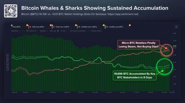 Bitcoin whales buy 19K BTC &ndash; Can $61K keep the recovery alive?