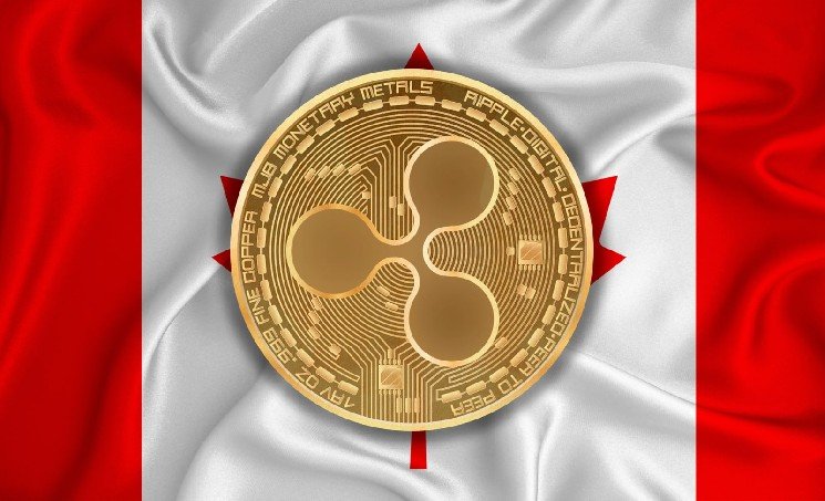 Bank of Montreal Discloses XRP Holdings in $303 Billion Portfolio Bank of Montreal Discloses XRP Holdings in $303 Billion Portfolio