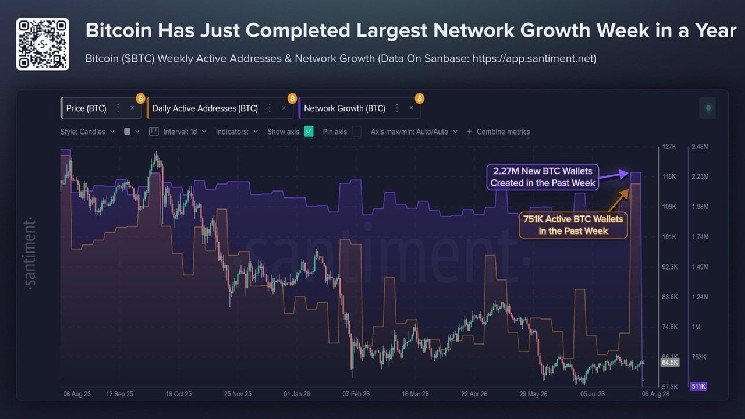 Bitcoin Wallets Spike to 2026 High as Coldcard Hack Fallout Spreads