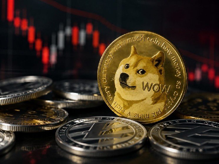 Bad News from a Company That Has Accumulated a Large Amount of Dogecoin (DOGE) Bad News from a Company That Has Accumulated a Large Amount of Dogecoin (DOGE)