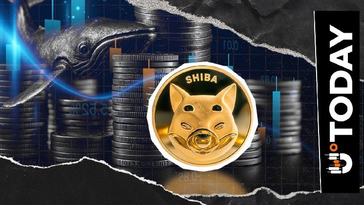 SHIB Exchange Flow Falls 97%: What's Driving Bears? SHIB Exchange Flow Falls 97%: What's Driving Bears?